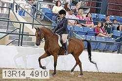13r14_4910 proof