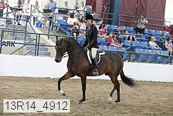 13r14_4912 proof