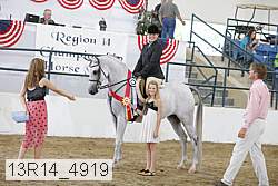13r14_4919 proof