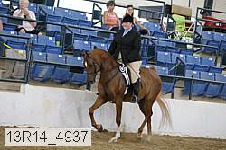 13r14_4937 proof