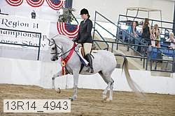 13r14_4943 proof