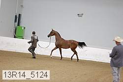 13r14_5124 proof