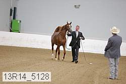 13r14_5128 proof