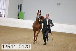 13r14_5129 proof