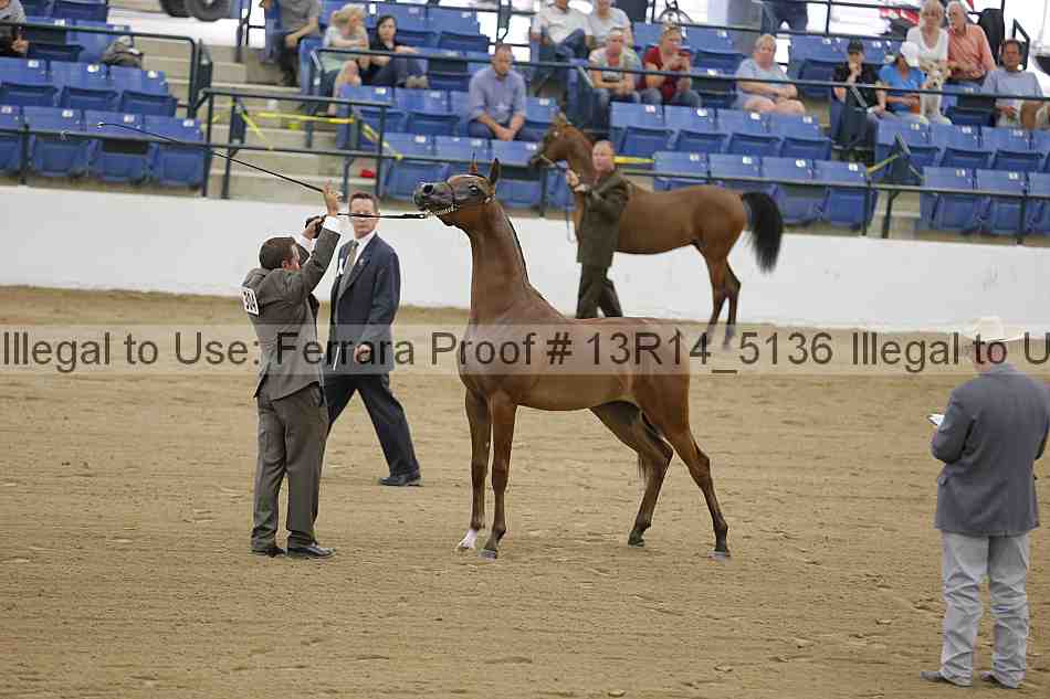 Proof 13r14_5136