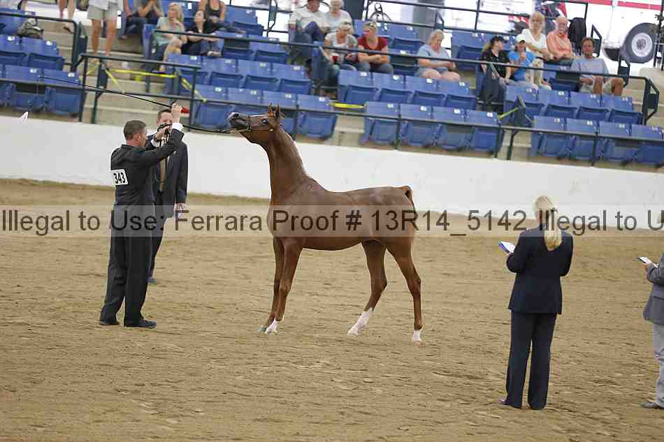 Proof 13r14_5142