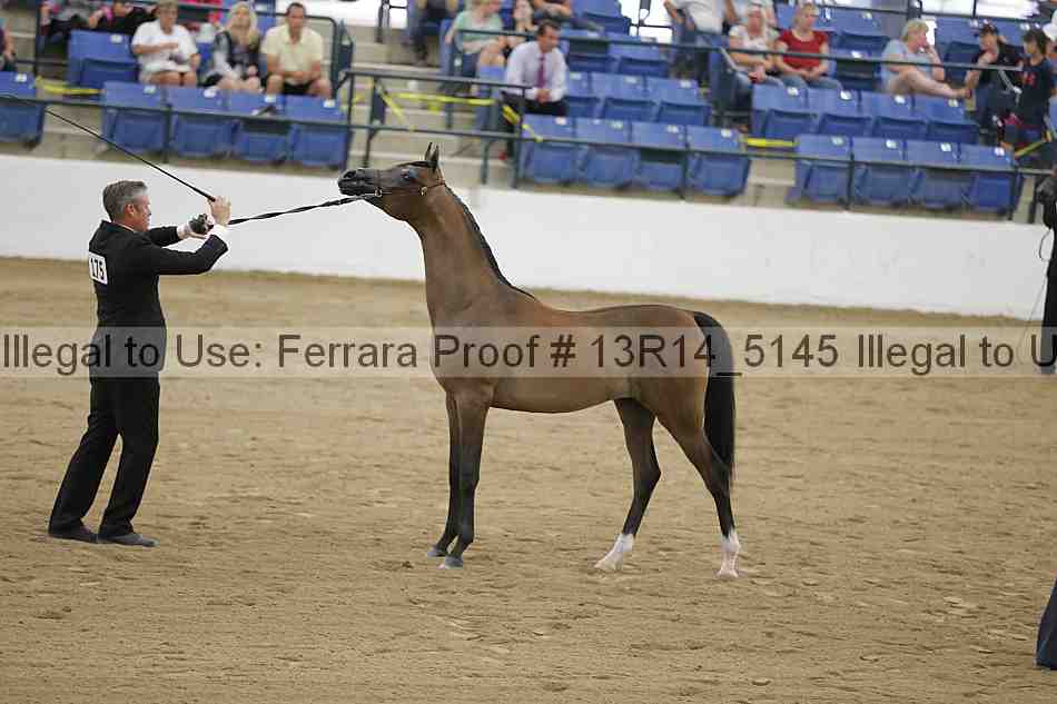 Proof 13r14_5145