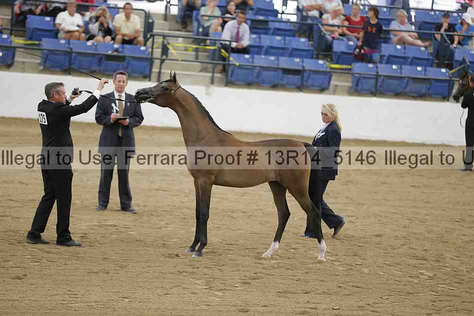 Proof 13r14_5146