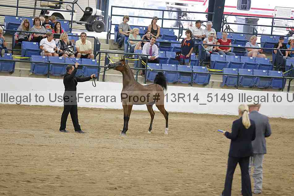 Proof 13r14_5149