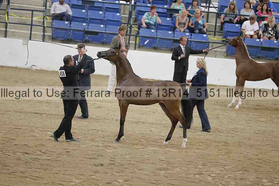Proof 13r14_5151