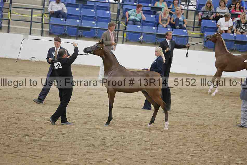 Proof 13r14_5152