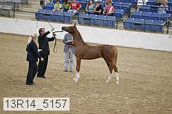 13r14_5157 proof