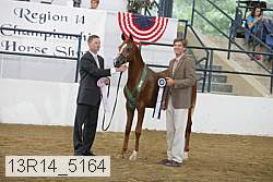 13r14_5164 proof
