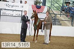 13r14_5165 proof