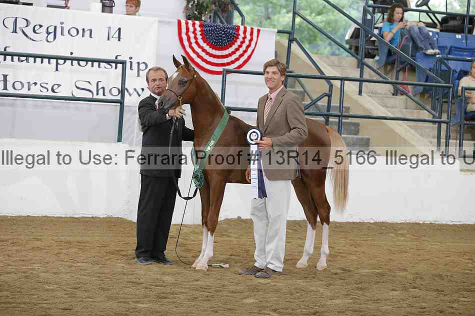 Proof 13r14_5166