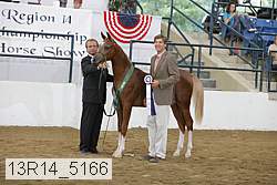 13r14_5166 proof