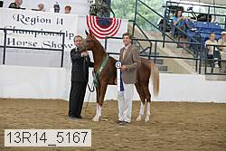 13r14_5167 proof