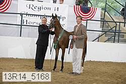13r14_5168 proof