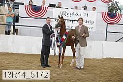 13r14_5172 proof