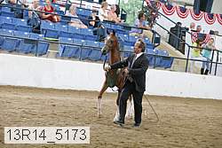 13r14_5173 proof