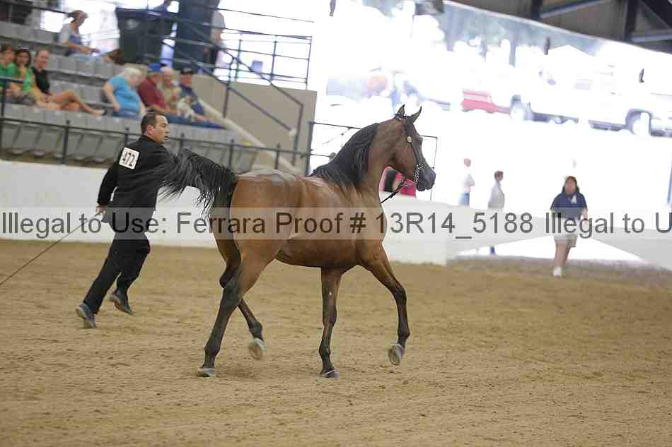Proof 13r14_5188