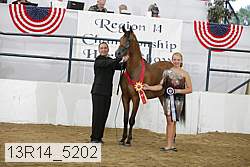 13r14_5202 proof