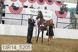 13r14_5205 proof