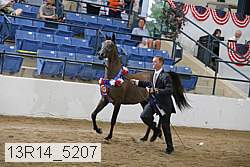13r14_5207 proof