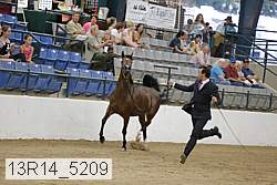 13r14_5209 proof