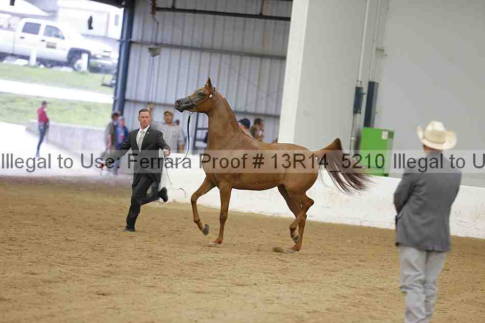 Proof 13r14_5210