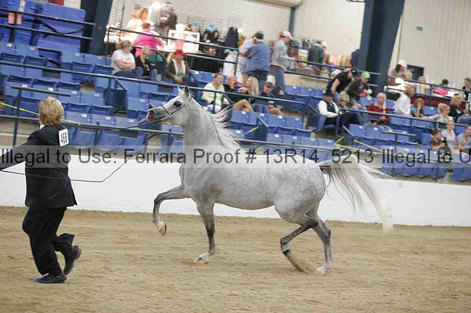 Proof 13r14_5213