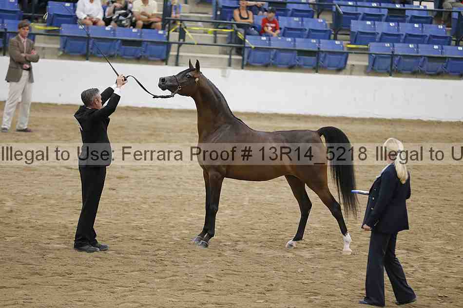 Proof 13r14_5218
