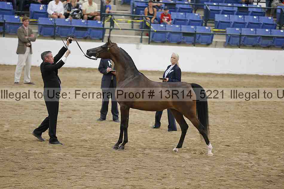 Proof 13r14_5221