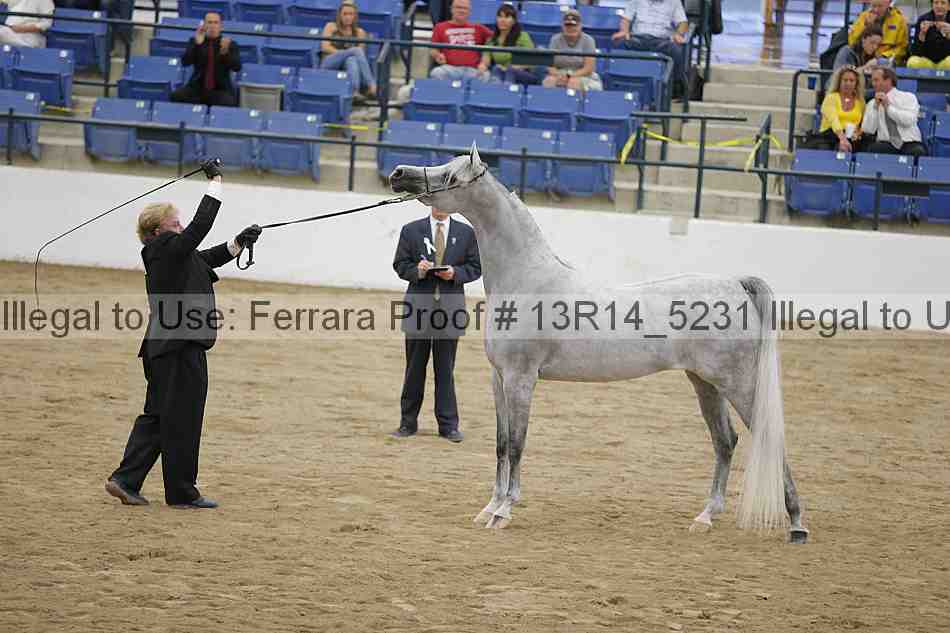 Proof 13r14_5231