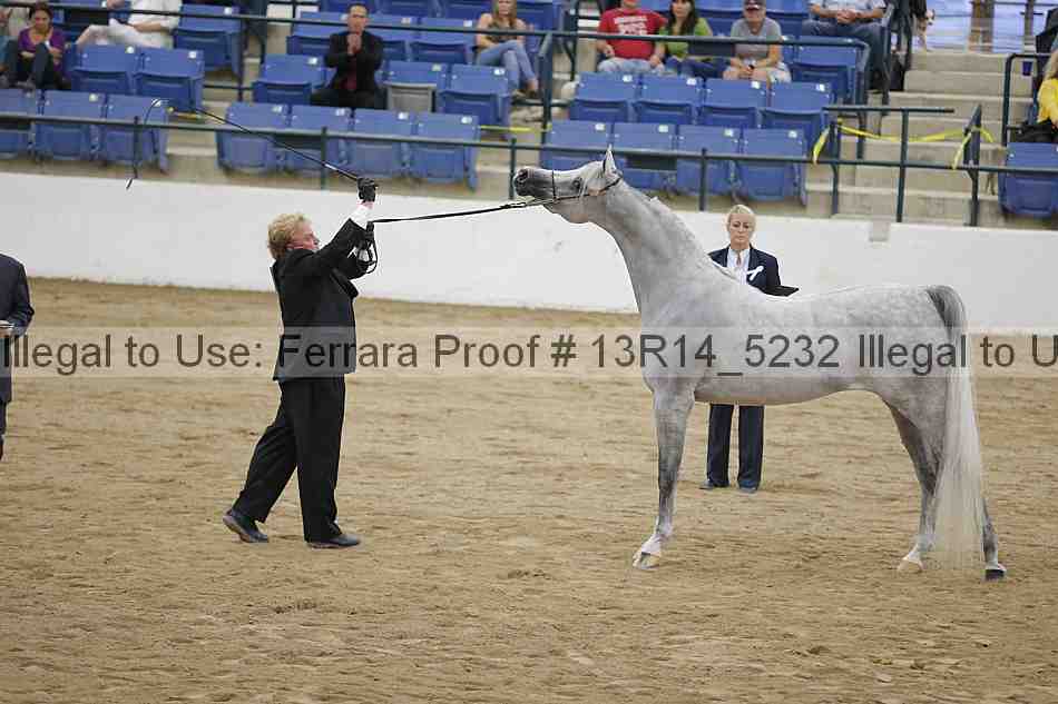 Proof 13r14_5232