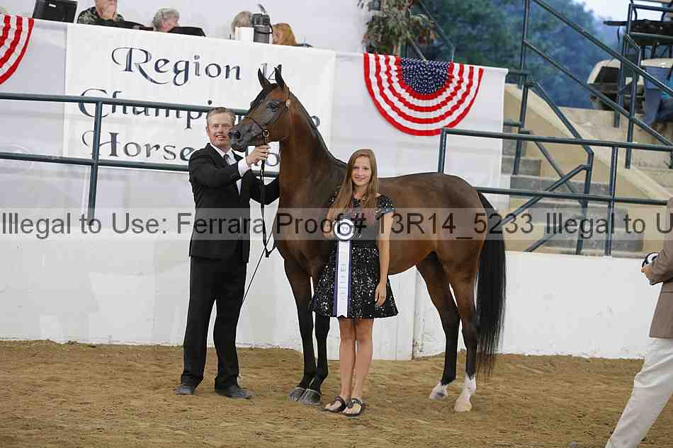 Proof 13r14_5233