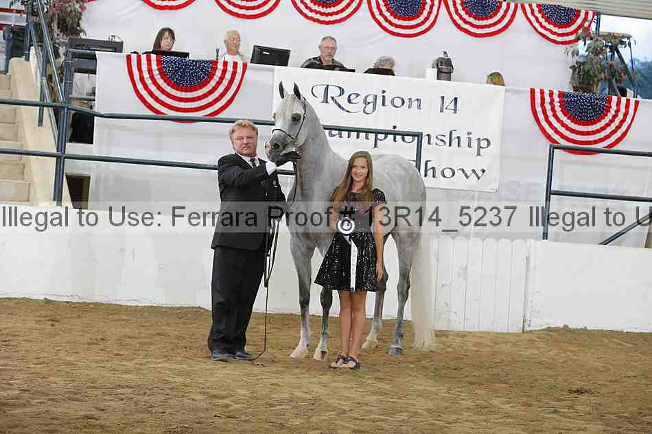 Proof 13r14_5237