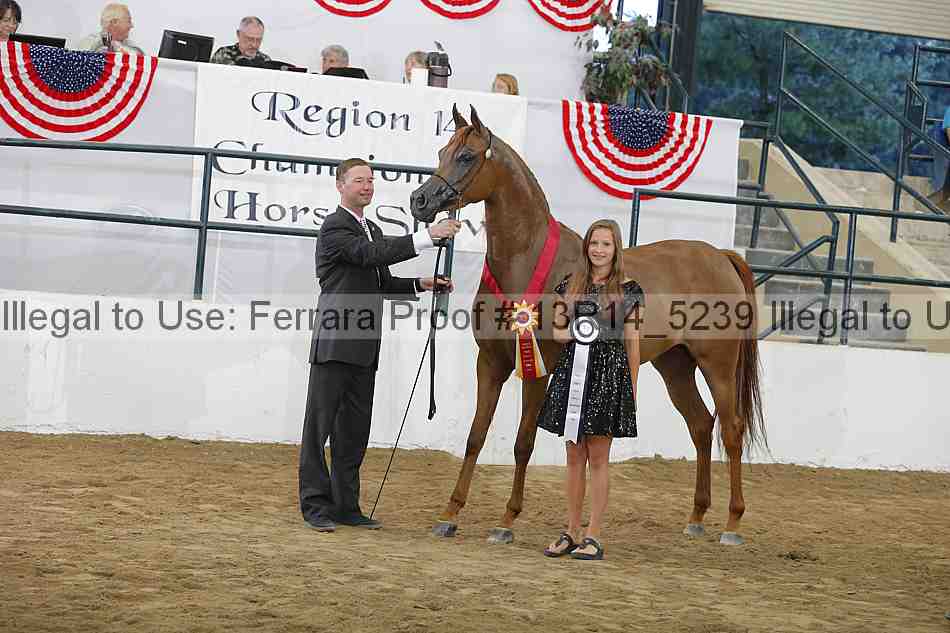 Proof 13r14_5239