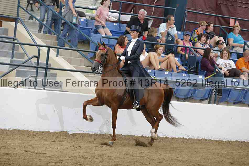 Proof 13r14_5262