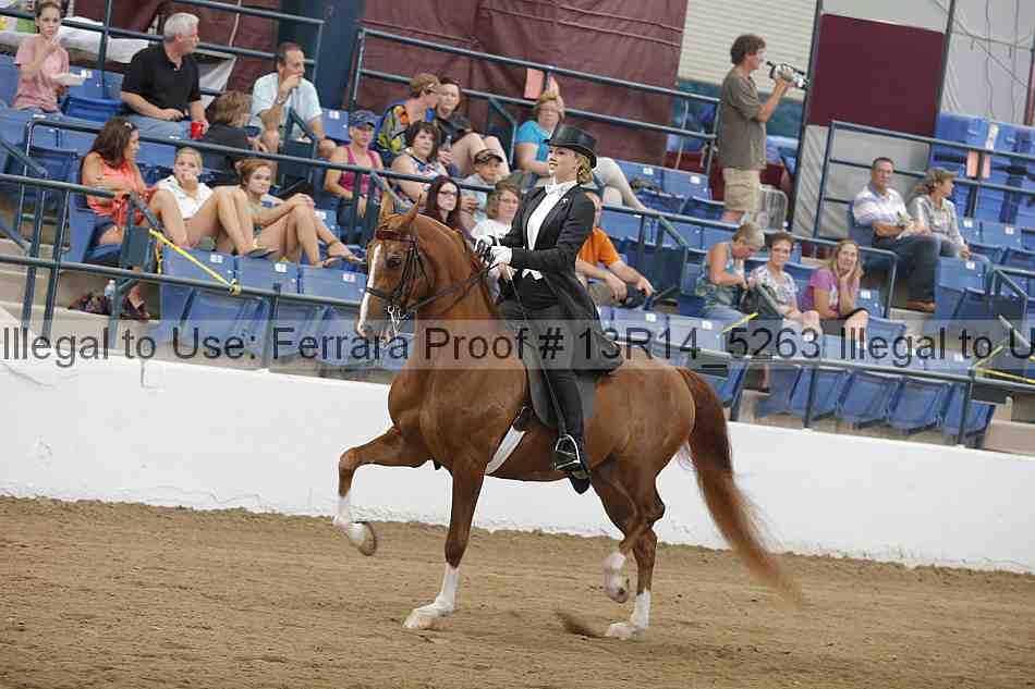 Proof 13r14_5263