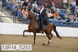 13r14_5283 proof