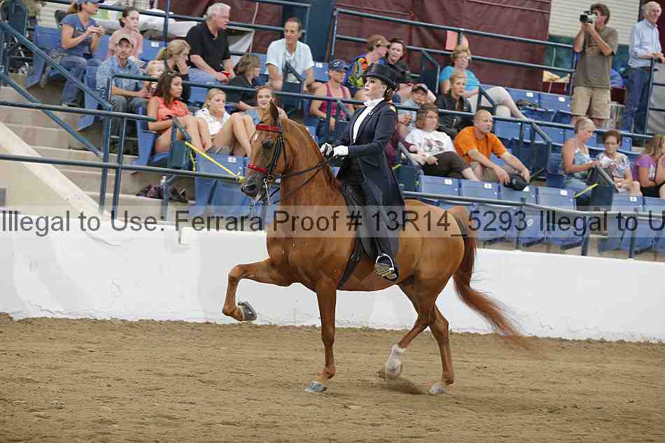Proof 13r14_5293