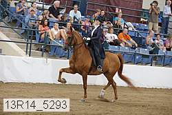 13r14_5293 proof