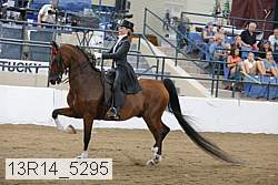 13r14_5295 proof