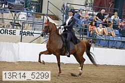 13r14_5299 proof