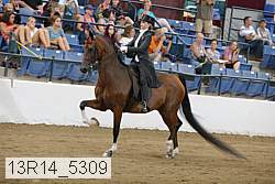 13r14_5309 proof