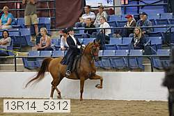13r14_5312 proof