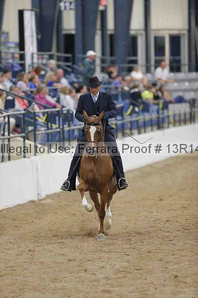 Proof 13r14_5380