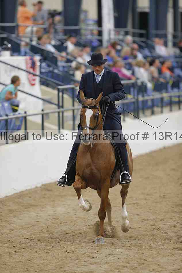 Proof 13r14_5381