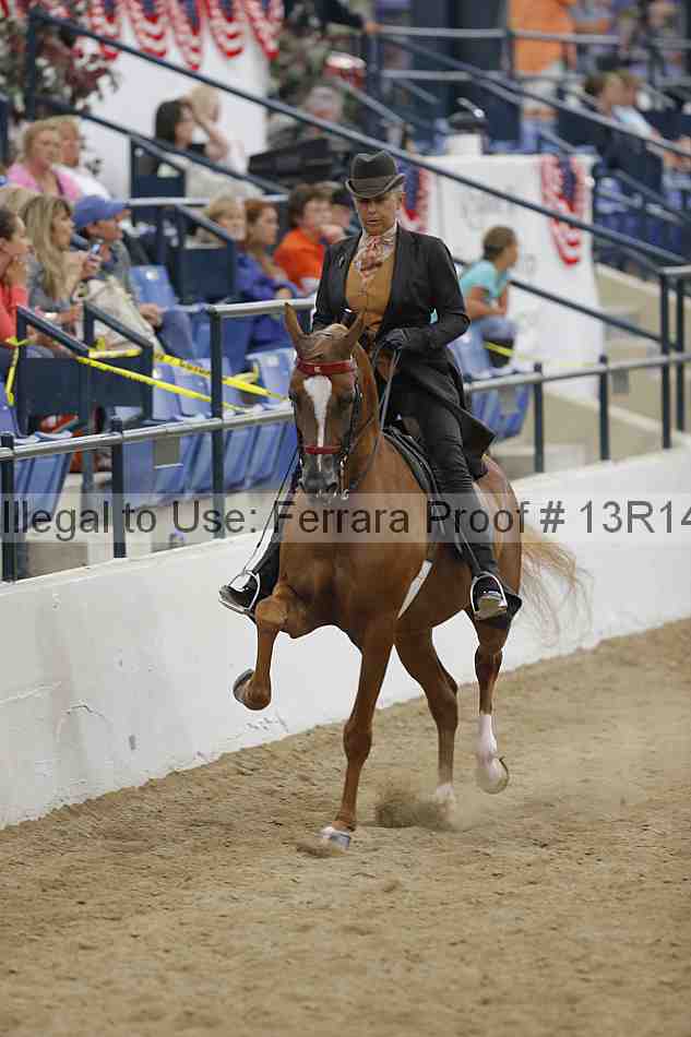 Proof 13r14_5384